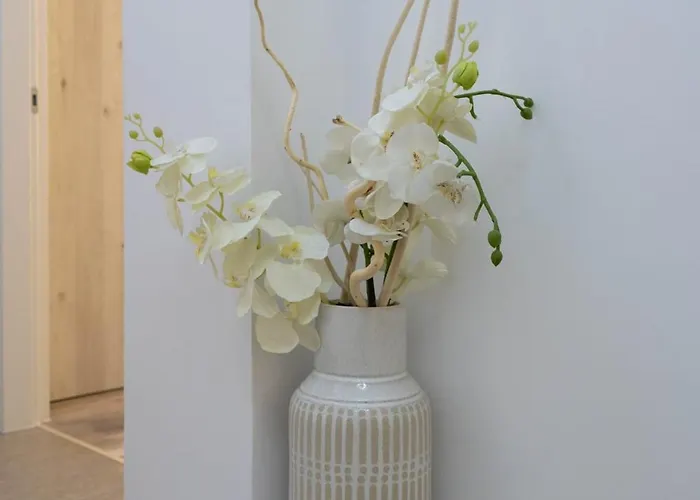 Mohost Veeo - Where Simplicity Feels Rich * Брашов